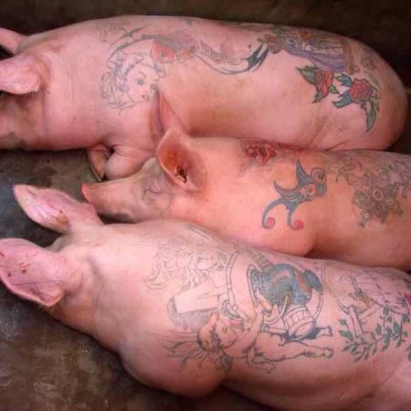 Meet your Posher, Jeff - Picture 1 of 1